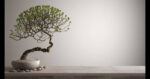 istockphoto-492500383-612×612