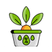 Garden Foundations & Flourishing